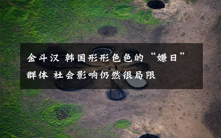 金斗汉 韩国形形色色的“嫌日”群体 社会影响仍然很局限