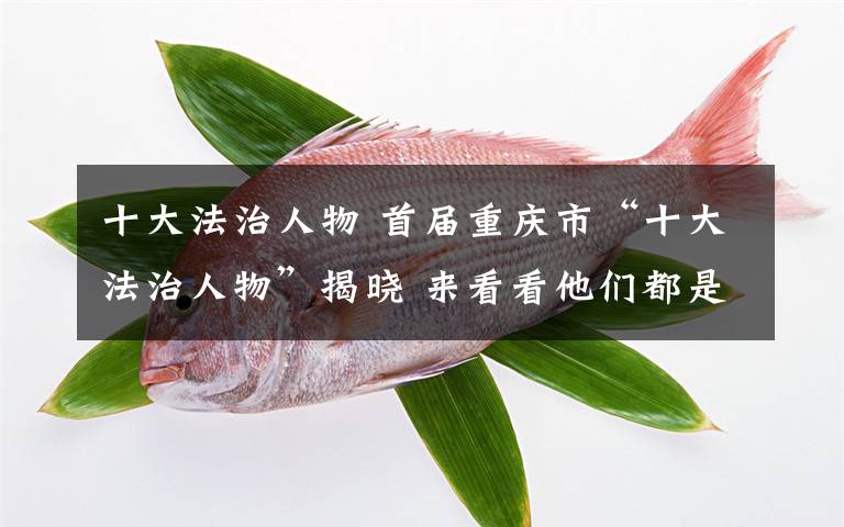 十大法治人物 首届重庆市“十大法治人物”揭晓 来看看他们都是谁