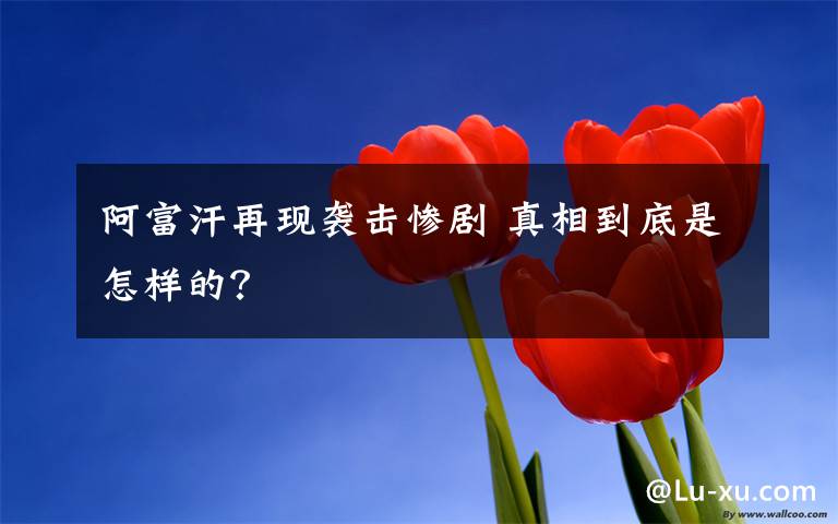 阿富汗再现袭击惨剧 真相到底是怎样的？