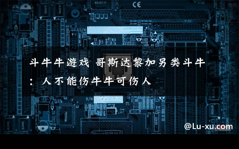 斗牛牛游戏 哥斯达黎加另类斗牛：人不能伤牛牛可伤人