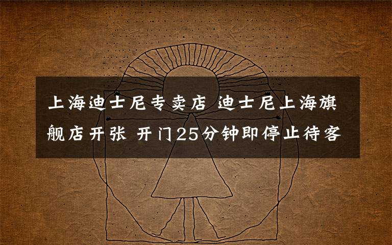 上海迪士尼专卖店 迪士尼上海旗舰店开张 开门25分钟即停止待客