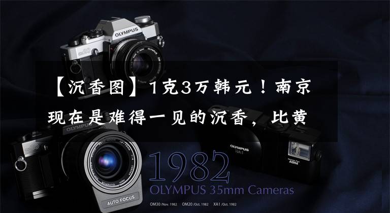 【沉香图】1克3万韩元！南京现在是难得一见的沉香，比黄金还贵，所以争先恐后地环顾市民们。