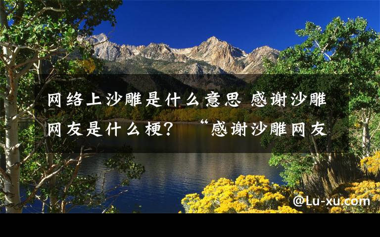 网络上沙雕是什么意思 感谢沙雕网友是什么梗？ “感谢沙雕网友”相关例子了解一下