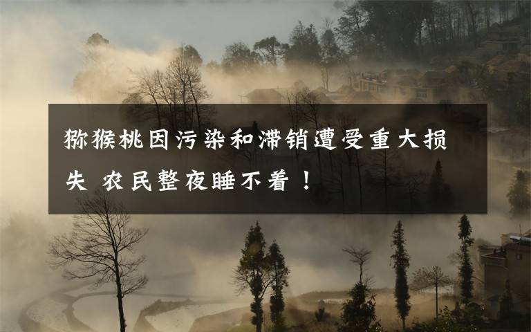 猕猴桃因污染和滞销遭受重大损失 农民整夜睡不着！