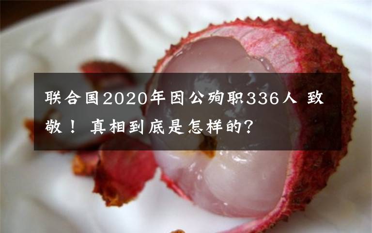 联合国2020年因公殉职336人 致敬！ 真相到底是怎样的？