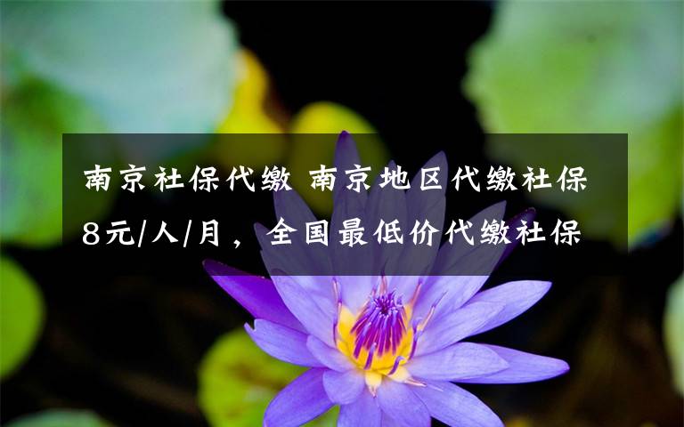 南京社保代缴 南京地区代缴社保8元/人/月，全国最低价代缴社保费，2万用户的定点服务商