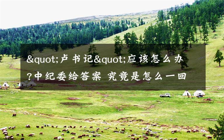 "卢书记"应该怎么办?中纪委给答案 究竟是怎么一回事?