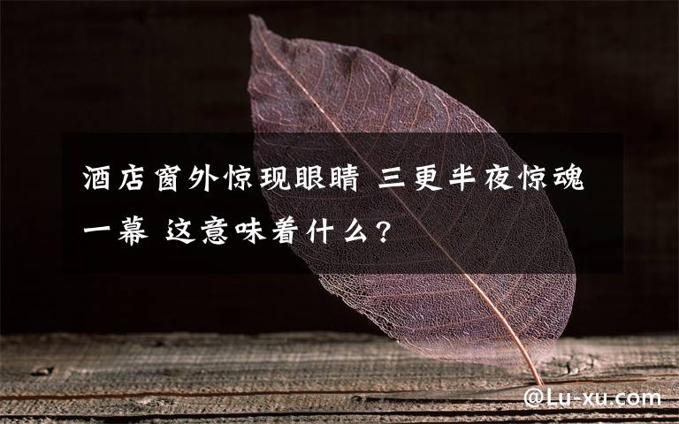 酒店窗外惊现眼睛 三更半夜惊魂一幕 这意味着什么?