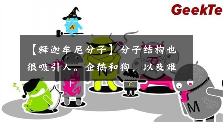 【释迦牟尼分子】分子结构也很吸引人。企鹅和狗，以及难以想象的东西。