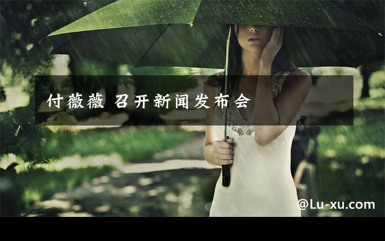 付薇薇 召开新闻发布会