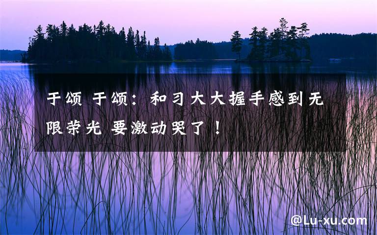于颂 于颂：和习大大握手感到无限荣光 要激动哭了！