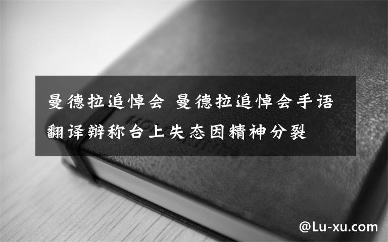 曼德拉追悼会 曼德拉追悼会手语翻译辩称台上失态因精神分裂