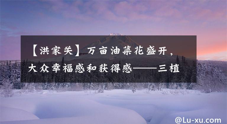 【洪家关】万亩油菜花盛开，大众幸福感和获得感——三植县红家观柏族乡进行现代化农业建设见闻。