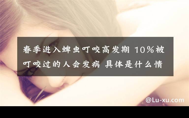 春季进入蜱虫叮咬高发期 10％被叮咬过的人会发病 具体是什么情况？