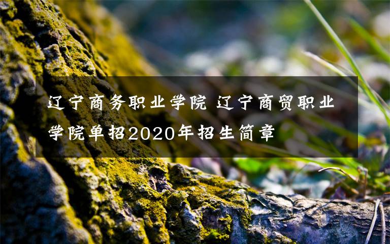 辽宁商务职业学院 辽宁商贸职业学院单招2020年招生简章