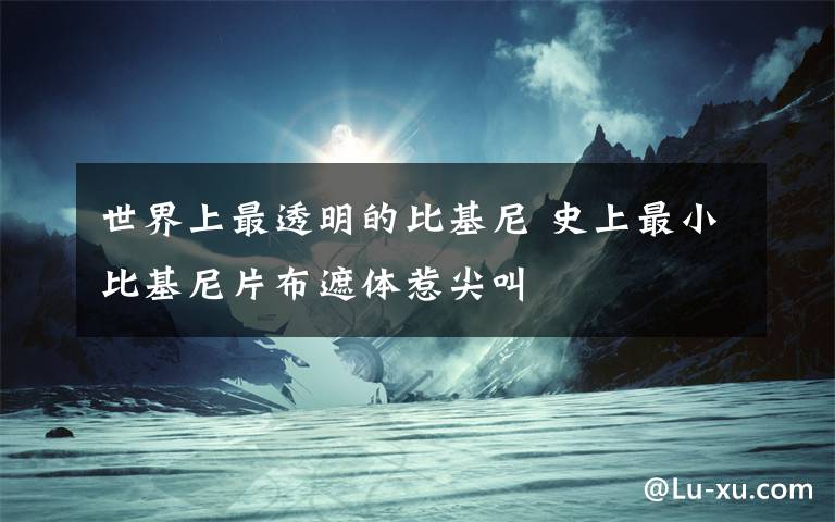 世界上最透明的比基尼 史上最小比基尼片布遮体惹尖叫