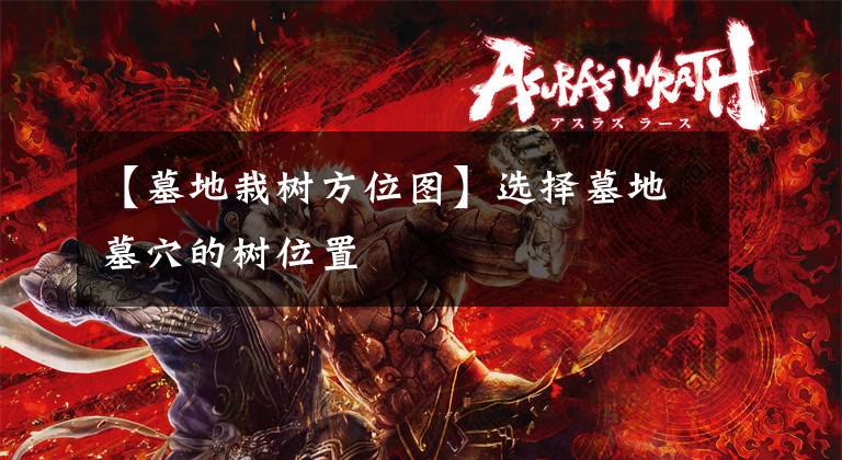 【墓地栽树方位图】选择墓地墓穴的树位置