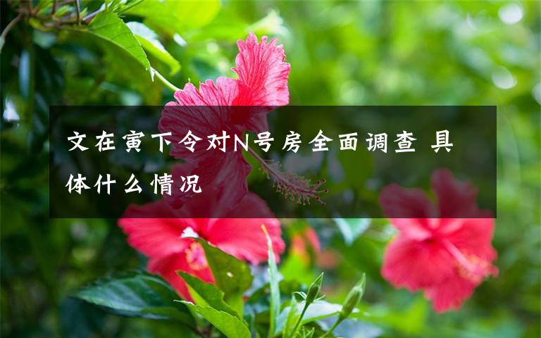 文在寅下令对N号房全面调查 具体什么情况
