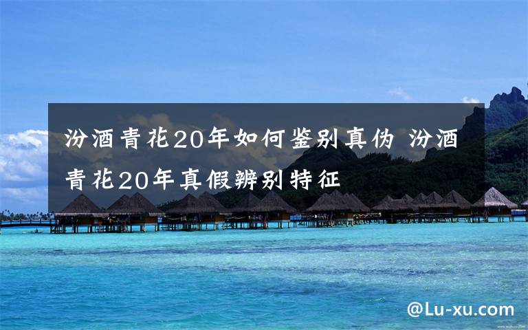 汾酒青花20年如何鉴别真伪 汾酒青花20年真假辨别特征