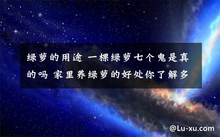 绿萝的用途 一棵绿萝七个鬼是真的吗 家里养绿萝的好处你了解多少？