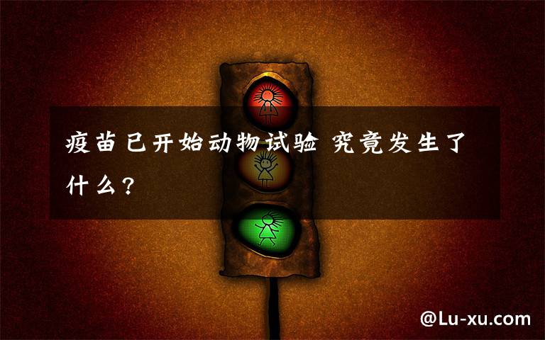 疫苗已开始动物试验 究竟发生了什么?