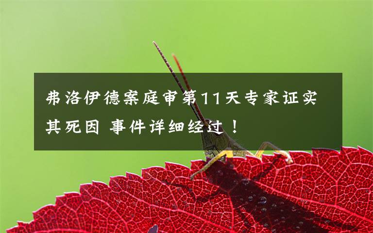 弗洛伊德案庭审第11天专家证实其死因 事件详细经过！