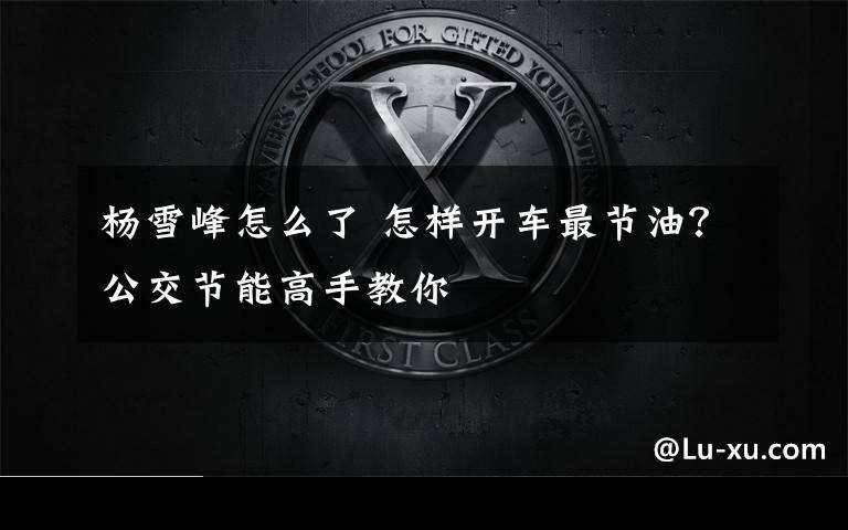 杨雪峰怎么了 怎样开车最节油？公交节能高手教你