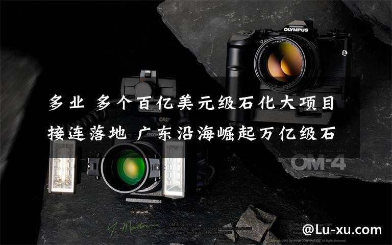 多业 多个百亿美元级石化大项目接连落地 广东沿海崛起万亿级石化产业带
