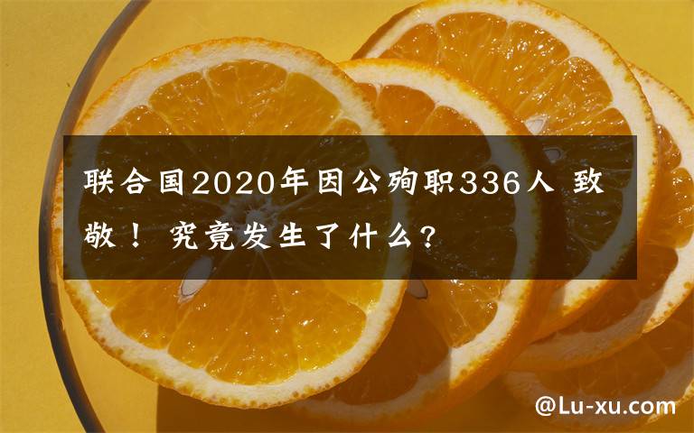 联合国2020年因公殉职336人 致敬！ 究竟发生了什么?