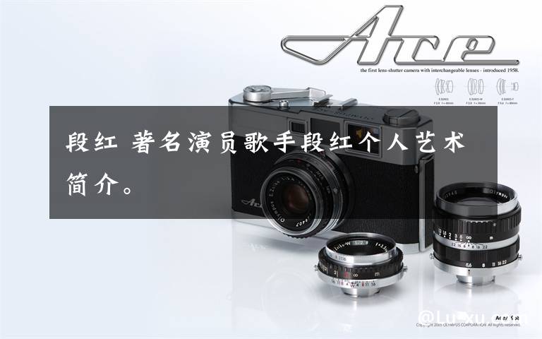 段红 著名演员歌手段红个人艺术简介。