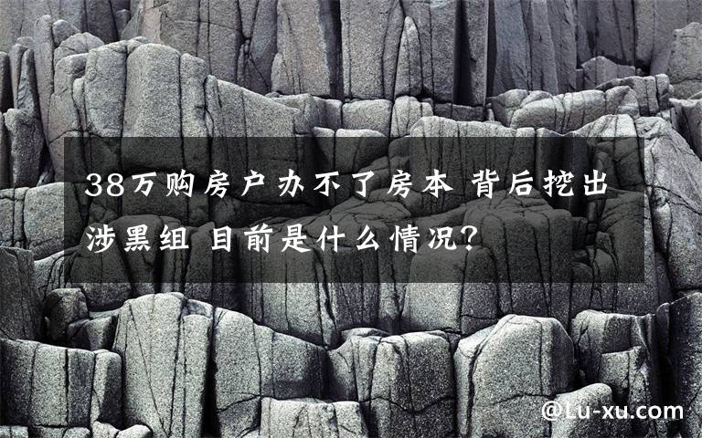 38万购房户办不了房本 背后挖出涉黑组 目前是什么情况？