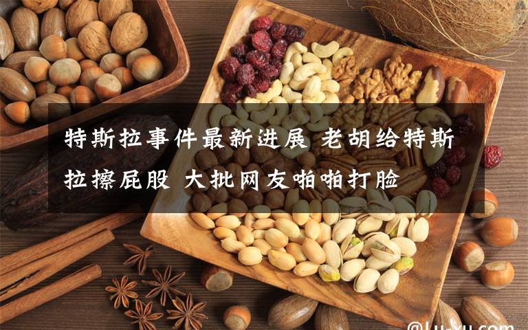特斯拉事件最新进展 老胡给特斯拉擦屁股 大批网友啪啪打脸
