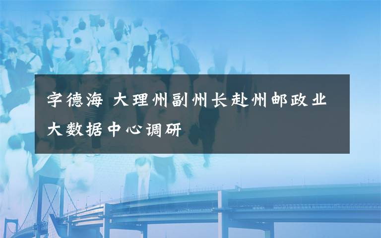 字德海 大理州副州长赴州邮政业大数据中心调研