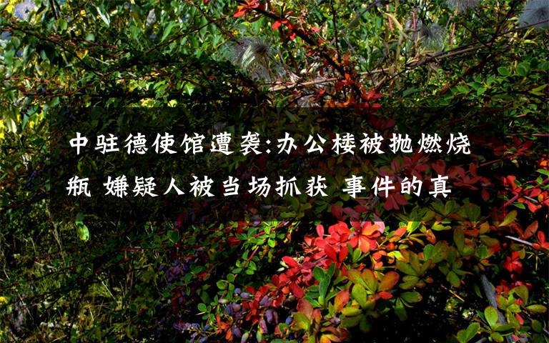 中驻德使馆遭袭:办公楼被抛燃烧瓶 嫌疑人被当场抓获 事件的真相是什么？