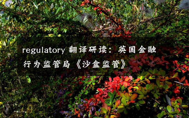 regulatory 翻译研读：英国金融行为监管局《沙盒监管》