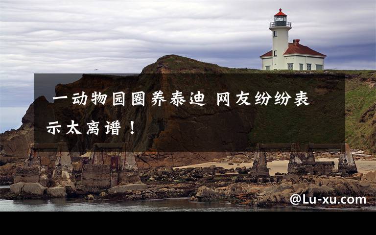  一动物园圈养泰迪 网友纷纷表示太离谱！