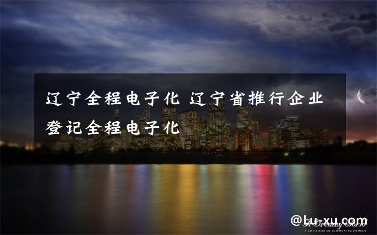 辽宁全程电子化 辽宁省推行企业登记全程电子化