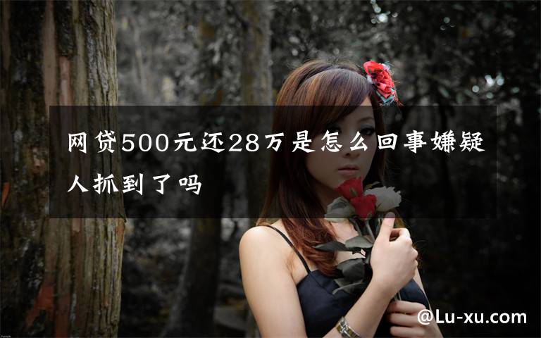 网贷500元还28万是怎么回事嫌疑人抓到了吗