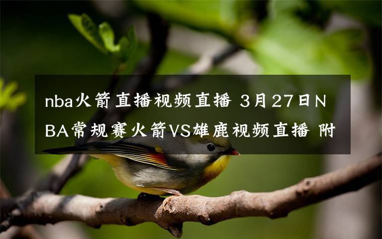 nba火箭直播视频直播 3月27日NBA常规赛火箭VS雄鹿视频直播 附CCTV5直播地址