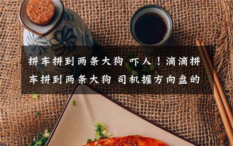 拼车拼到两条大狗 吓人！滴滴拼车拼到两条大狗 司机握方向盘的手都在发抖