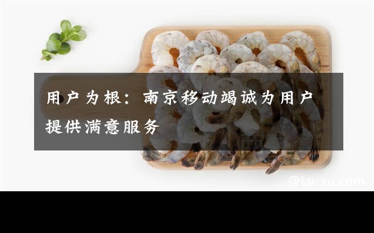 用户为根：南京移动竭诚为用户提供满意服务