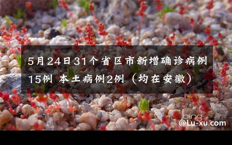 5月24日31个省区市新增确诊病例15例 本土病例2例（均在安徽） 事情经过真相揭秘！