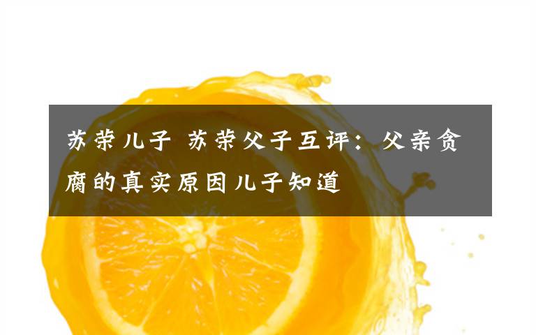 苏荣儿子 苏荣父子互评：父亲贪腐的真实原因儿子知道