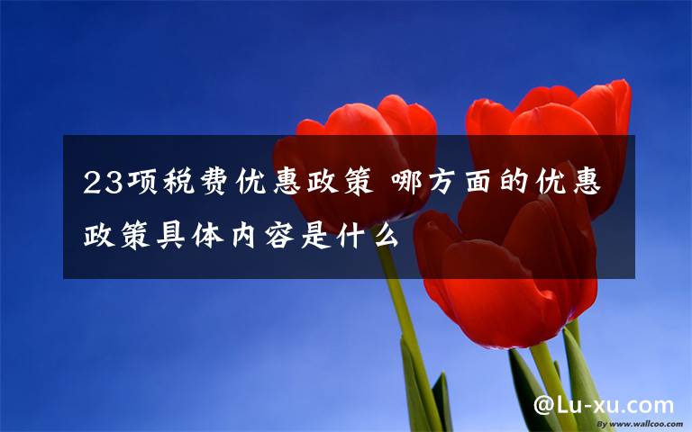 23项税费优惠政策 哪方面的优惠政策具体内容是什么