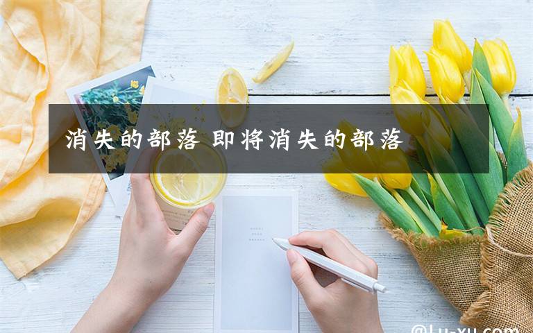 消失的部落 即将消失的部落