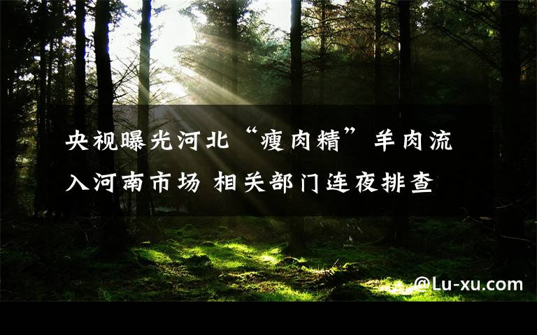 央视曝光河北“瘦肉精”羊肉流入河南市场 相关部门连夜排查 到底是什么状况？
