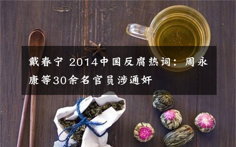 戴春宁 2014中国反腐热词：周永康等30余名官员涉通奸