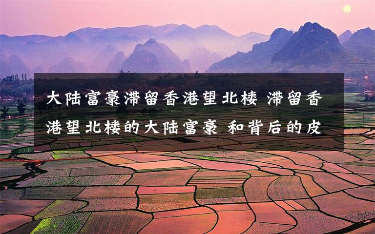 大陆富豪滞留香港望北楼 滞留香港望北楼的大陆富豪 和背后的皮条客