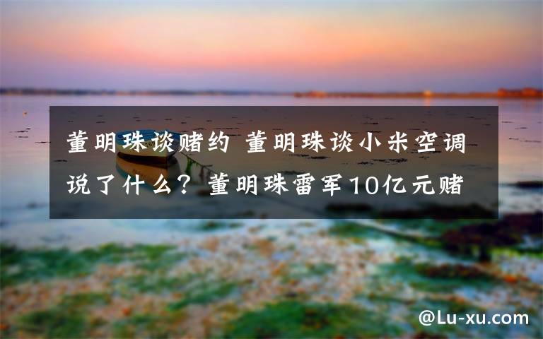 董明珠谈赌约 董明珠谈小米空调说了什么？董明珠雷军10亿元赌约是怎么回事