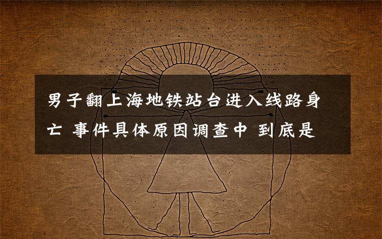 男子翻上海地铁站台进入线路身亡 事件具体原因调查中 到底是什么状况？